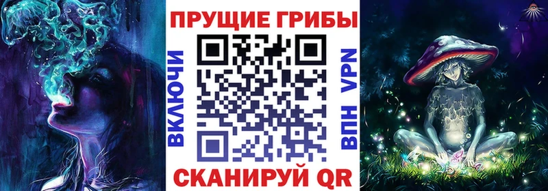 Купить  Калуга  Галлюциногенные грибы Psilocybe